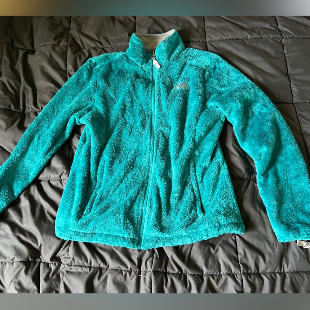 The North Face Teal Teddy Jacket